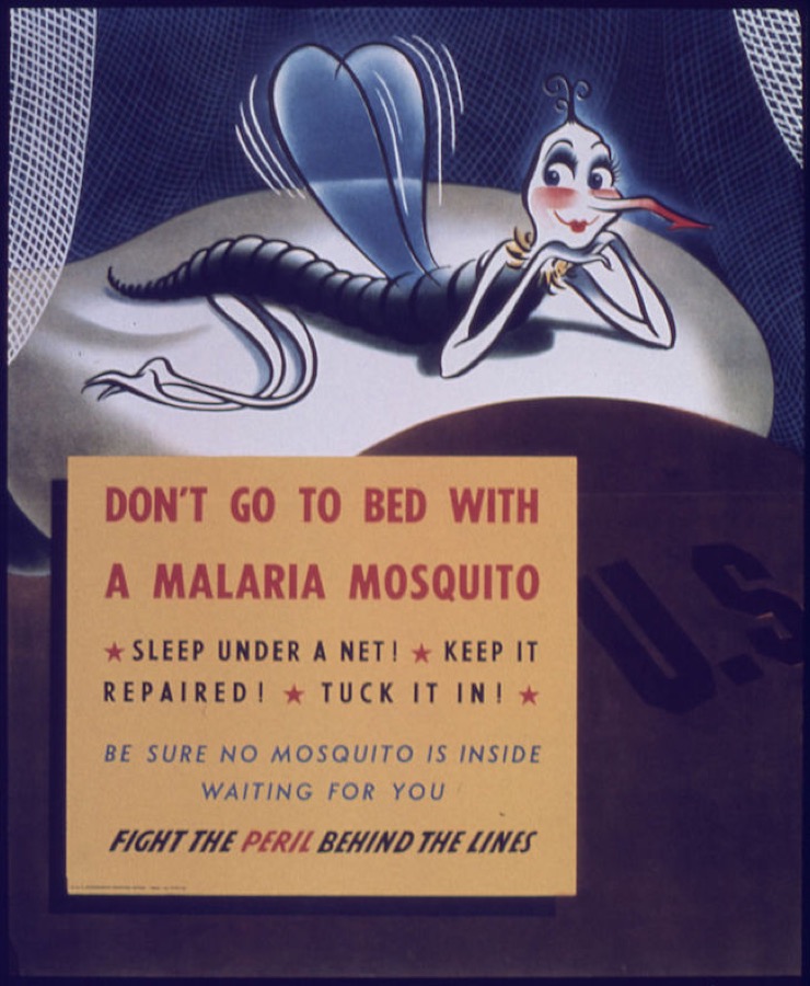 US Army vintage educational poster on malaria risk