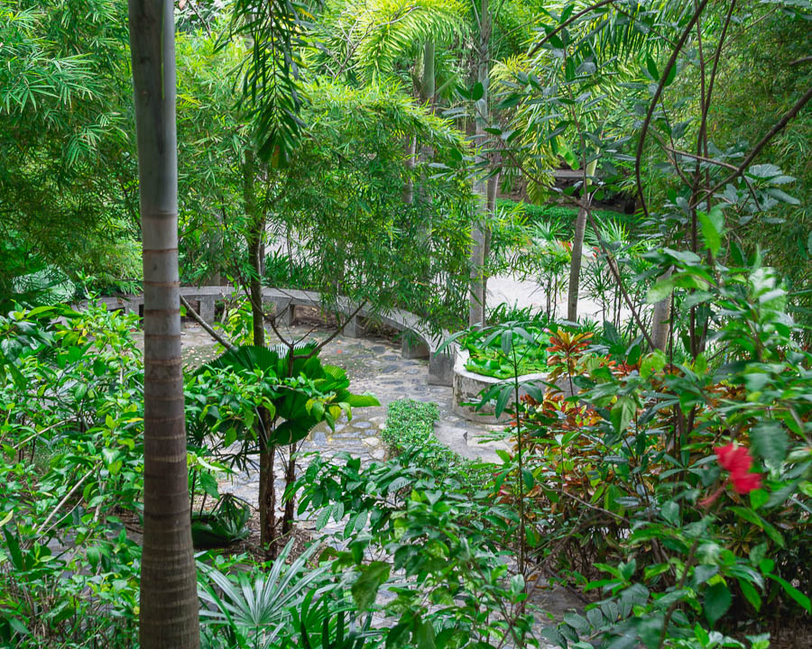 A lush, green garden